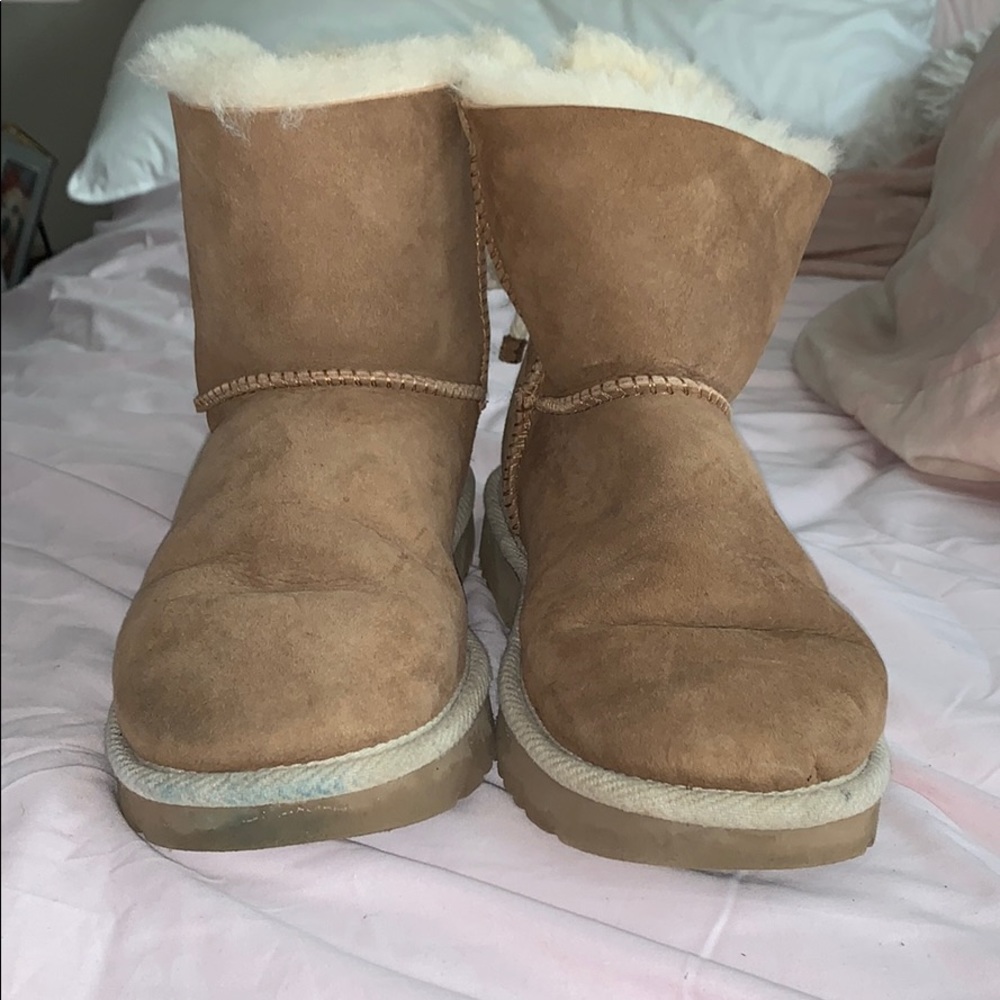 Chesnut uggs
